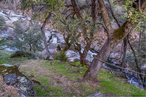 New Luxury Creekside Retreat Near Yosemite