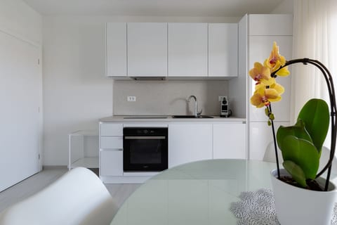 Apartments Penthouse Apartments Dora Kukljica - Unit 378565-13