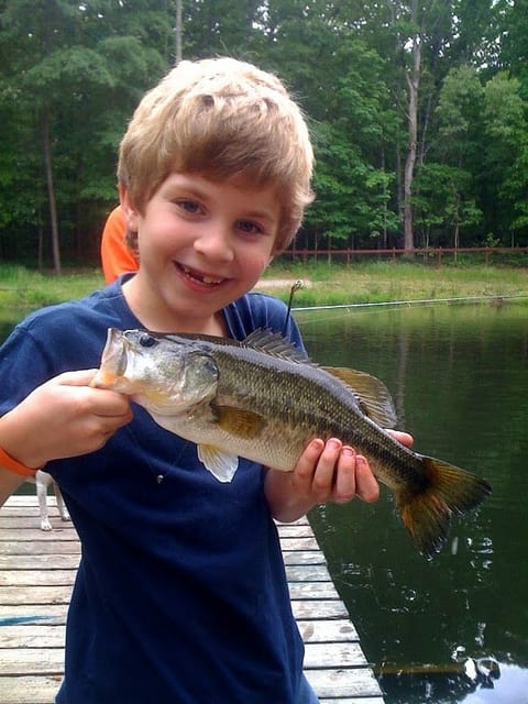 Lake House on private lake - fishing / horses image 5