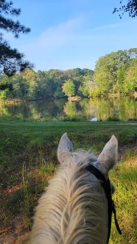 There are miles of horse trails that are also great for walking, jogging, and biking.