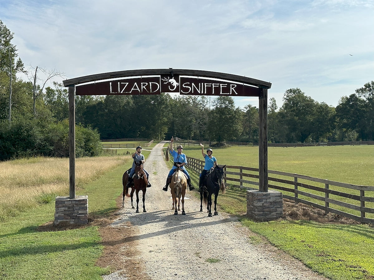 Old Main has Horses! Trails! Fishing! image 1
