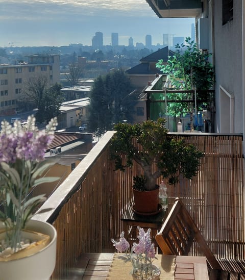 City skyline view