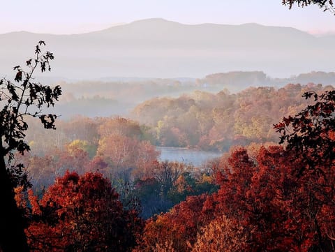 Shenandoah Vista
