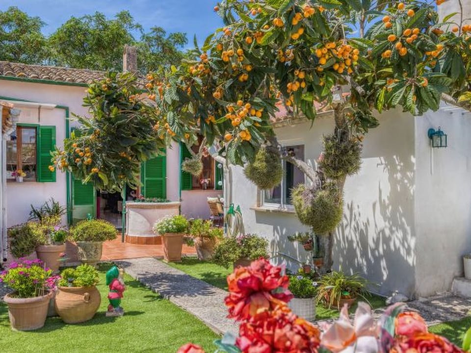Casa Vileta - Palma