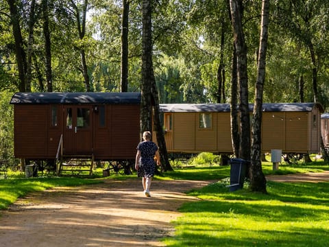 Camping Papillon Kinrooi - Pipowagen 2 personen