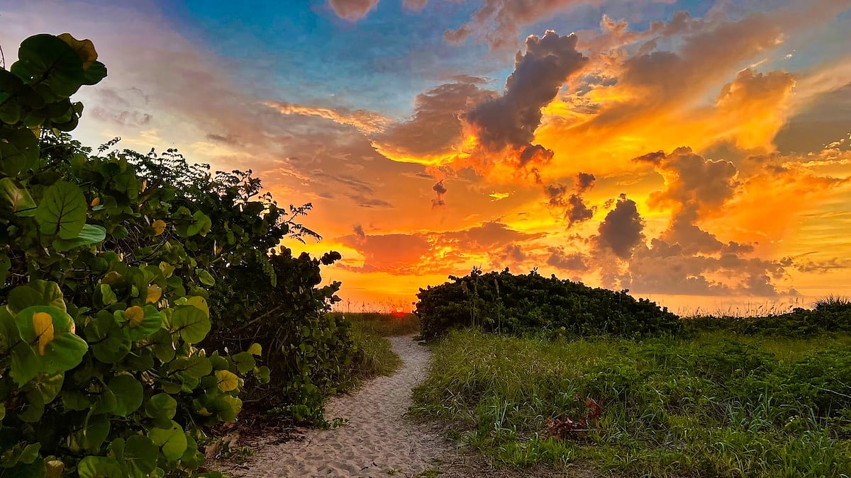 1 BR Beach Apt 1 Pet Ok Steps to Beach & Boating image 1