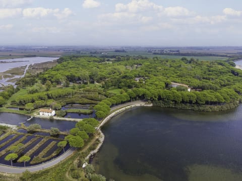 Belvedere Pineta Camping Village