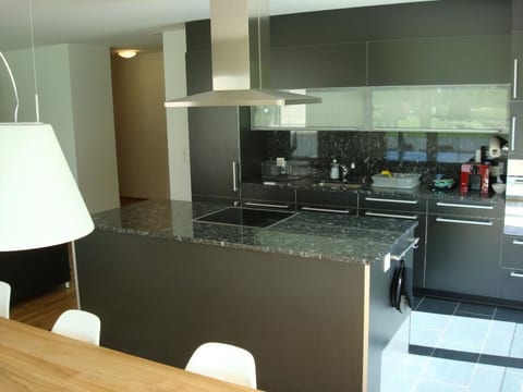 Herti Park (DI) Appartement/Fewo, Dusche oder Bad, WC 5½-Zimmerwohnung