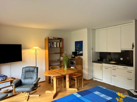 Obm See Appartement/Fewo, Dusche oder Bad, WC 1½-Zimmerwohnung