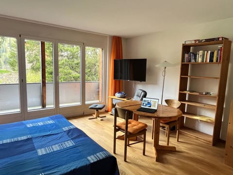 Obm See Appartement/Fewo, Dusche oder Bad, WC 1½-Zimmerwohnung