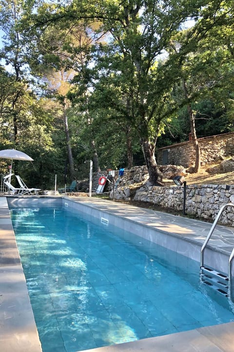 Pool Outdoor