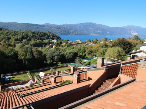 Lake & Pool