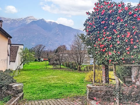 Outdoor