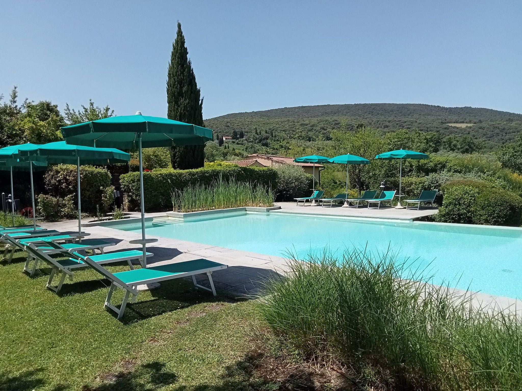 Pool Outdoor