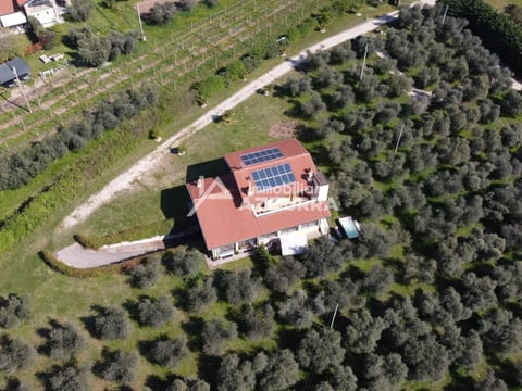 Villa i Roccoli, zwischen Olivenbäumen mit priva