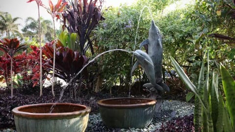 The Dolphin Hale LLC