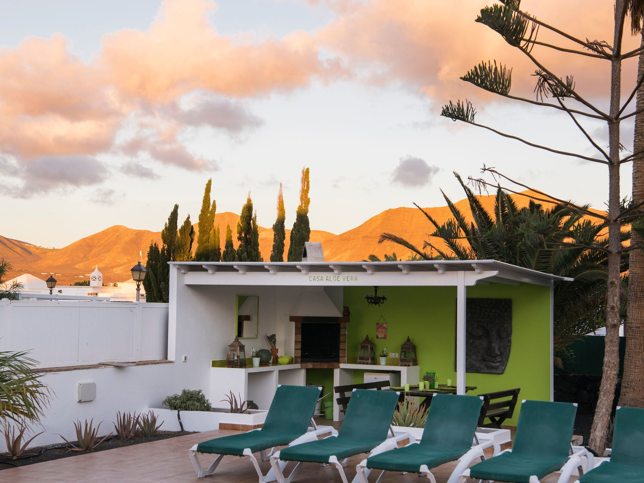 Casa Aloe Vera