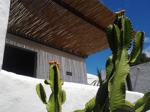 Traditionelles Haus El Vaixell - Terrassen mit Aussicht