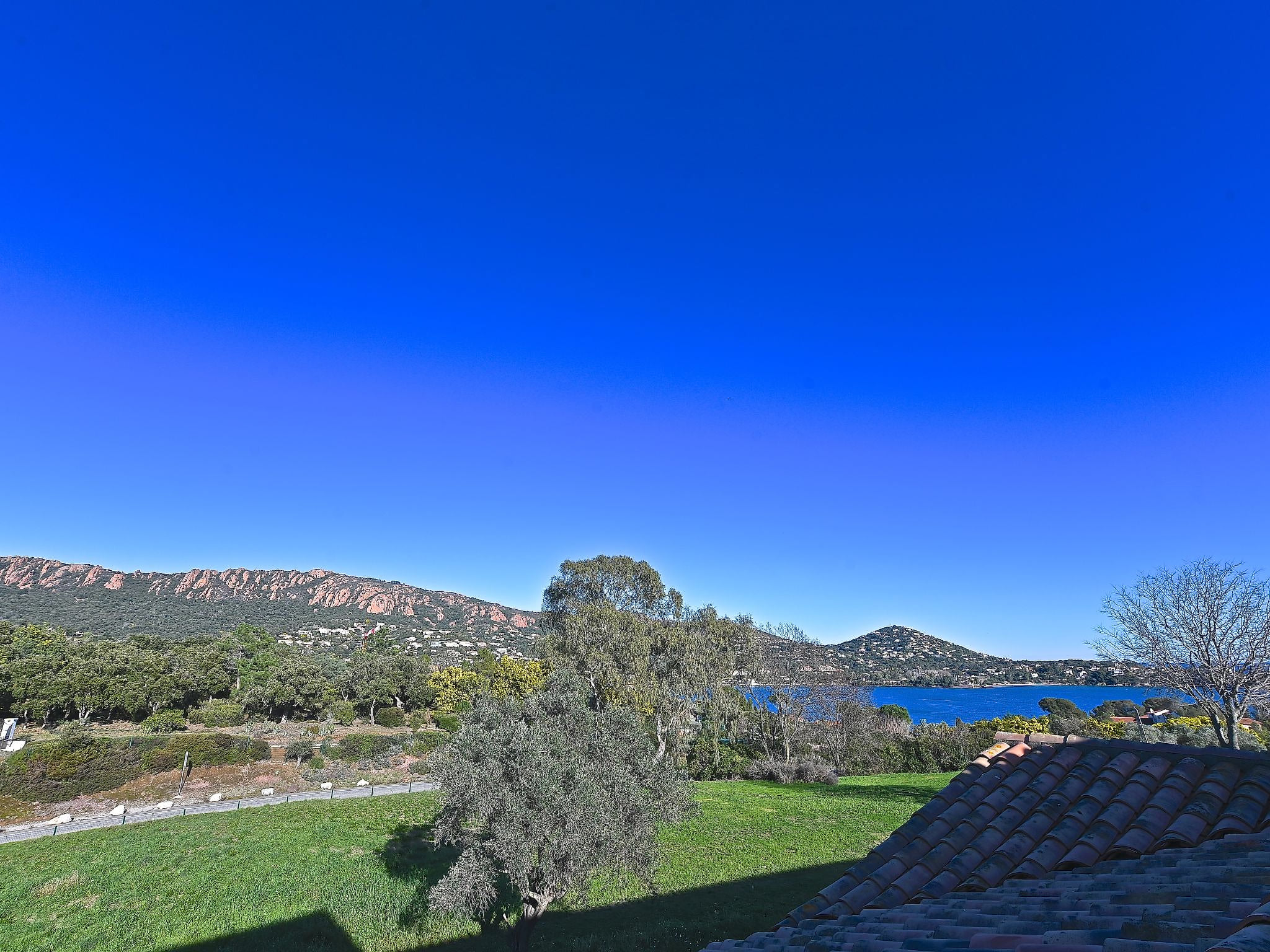 View