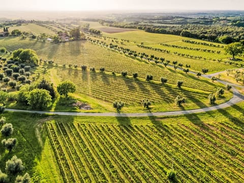 Aerial photography