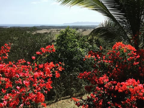 La Hacienda Ojo de Agua Private Villa mit Meerblick und Pool * 8 Erwachsene