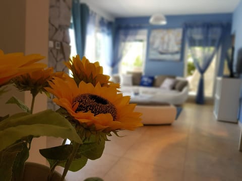 After All Wohnung mit Pool in Mandre, Pag