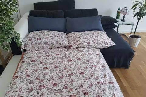 Room 4, large fold-out couch (1.4 meters wide)