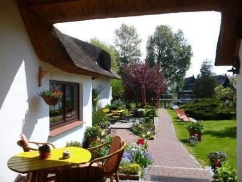 Morgensünn- Nette Wohnung in Althagen mit Terras