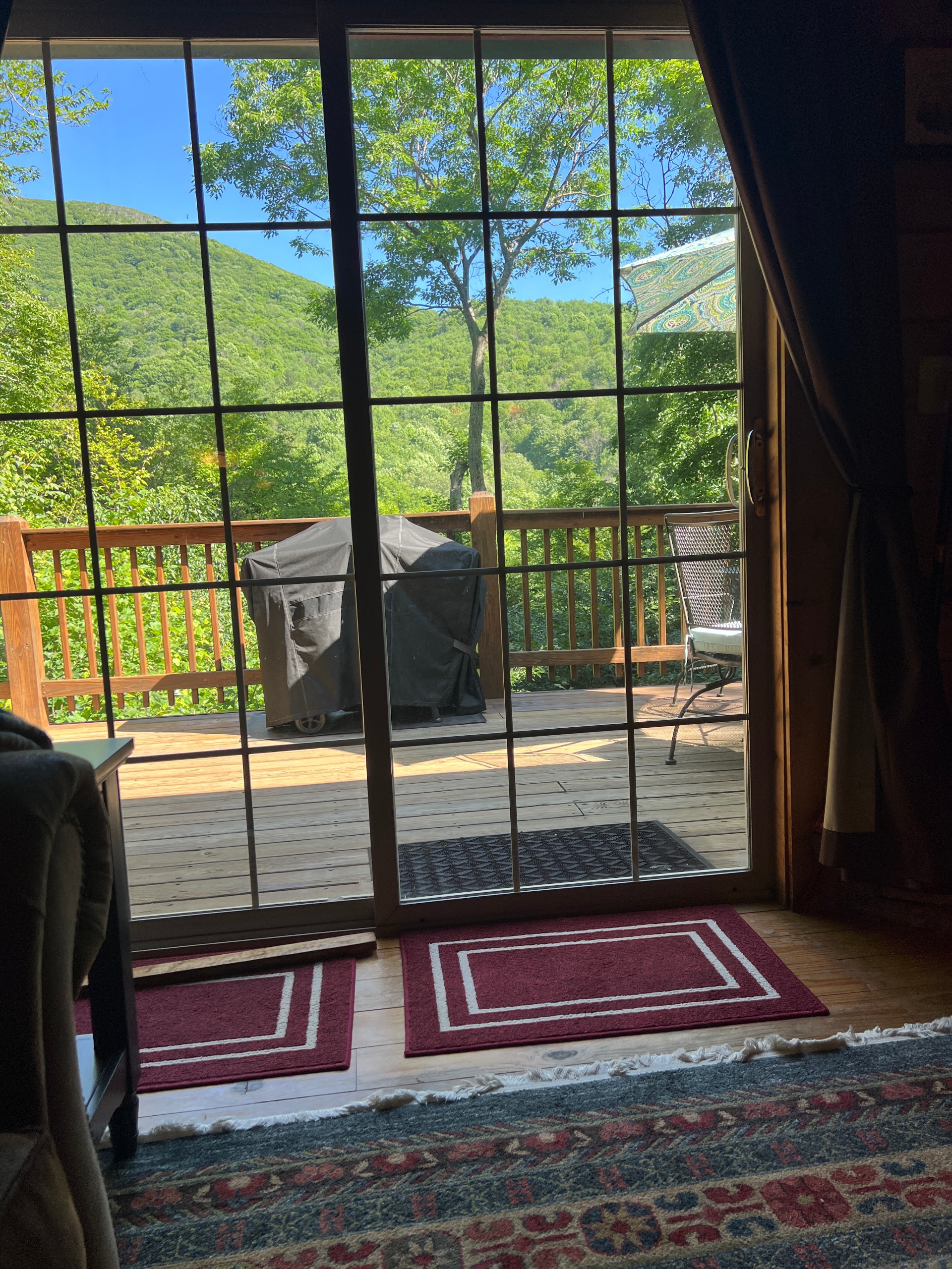 Click to see whole image. View from Couch.