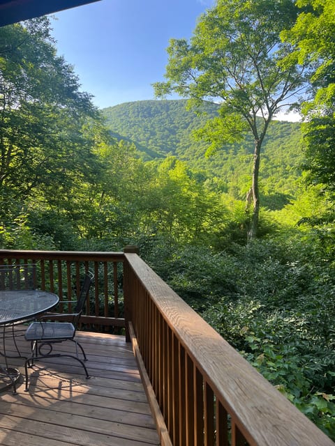 Standing  just under the covered deck about to have my morning coffee.