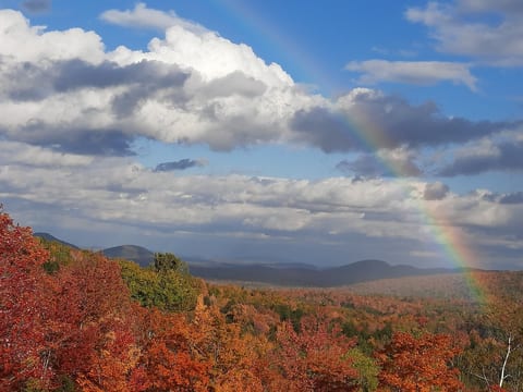 Scenic views in Serene Adirondack retreat