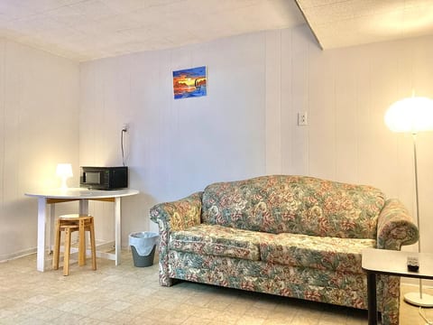 Full private Studio Suite w/ Living room image 5