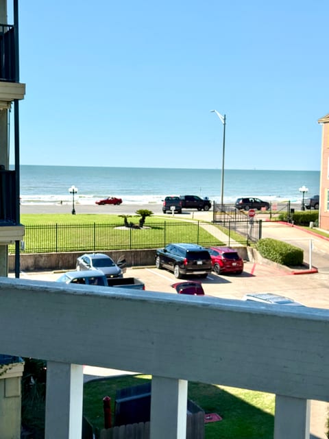 Watch the waves roll in!