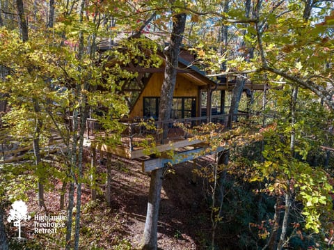XL Treehouse on 7 Trees with Bridge & Platforms - The Hylo