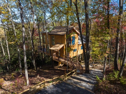XL Treehouse on 7 Trees with Bridge & Platforms - The Hylo