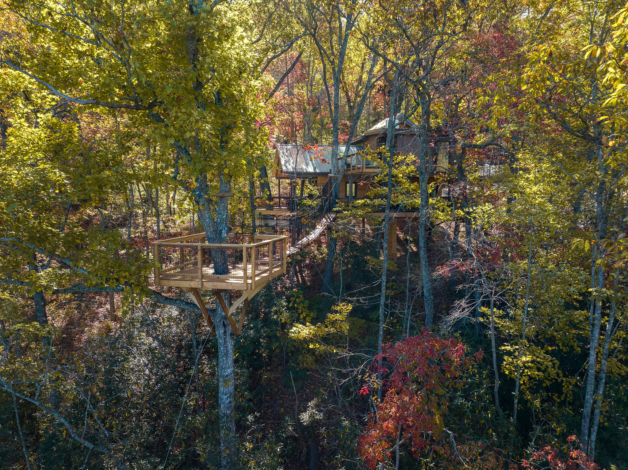 XL Treehouse on 7 Trees with Bridge & Platforms - The Hylo