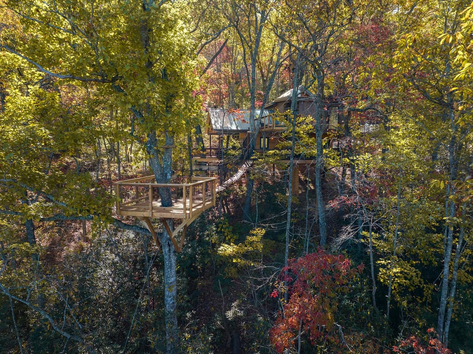 XL Treehouse on 7 Trees with Bridge & Platforms - The Hylo - Macon County