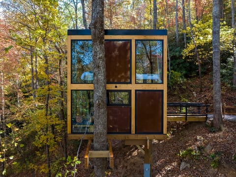 360° Glass Treehouse in the Canopy - The Cūbus