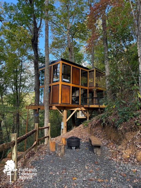 360° Glass Treehouse in the Canopy - The Cūbus