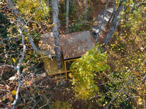 360° Glass Treehouse in the Canopy - The Cūbus