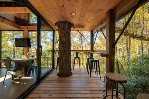 360° Glass Treehouse in the Canopy - The Cūbus