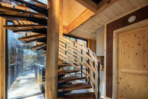 360° Glass Treehouse in the Canopy - The Cūbus