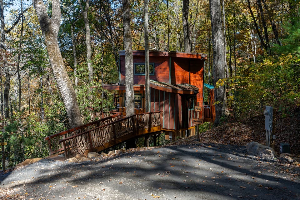 Mushroom-Inspired Treehouse with Living Roof - The Mēos - Highlands