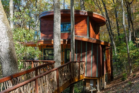 Mushroom-Inspired Treehouse with Living Roof - The Mēos
