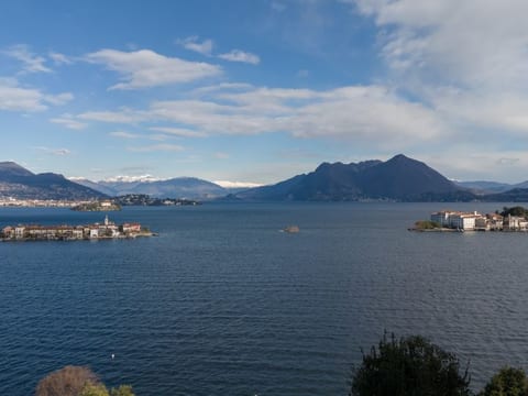 Punta Borromea