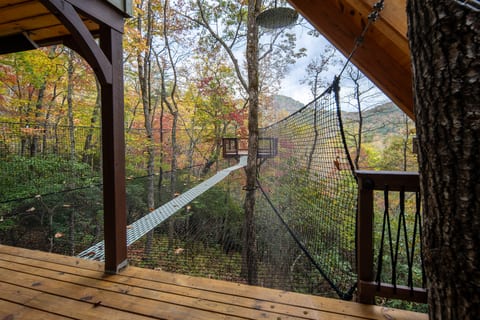 A-Frame Treehouse with Giant Treetop Net - The Carpentree