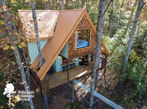 A-Frame Treehouse with Giant Treetop Net - The Carpentree