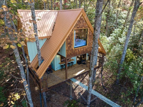 A-Frame Treehouse with Giant Treetop Net - The Carpentree
