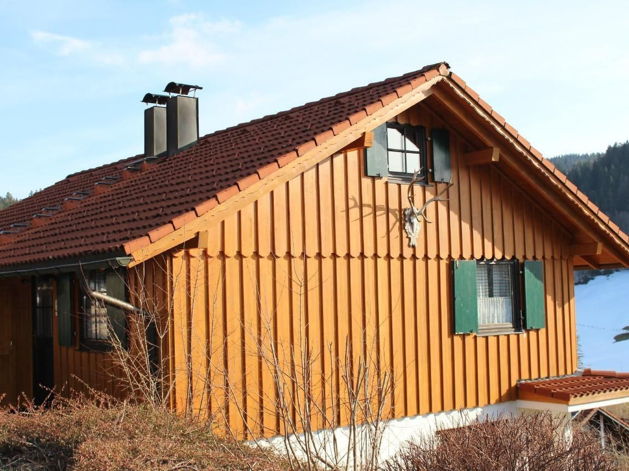 Alpkönig