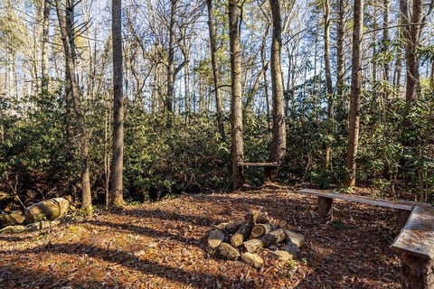 Hiker’s Haven: Cherokee National Forest Retreat! image 24